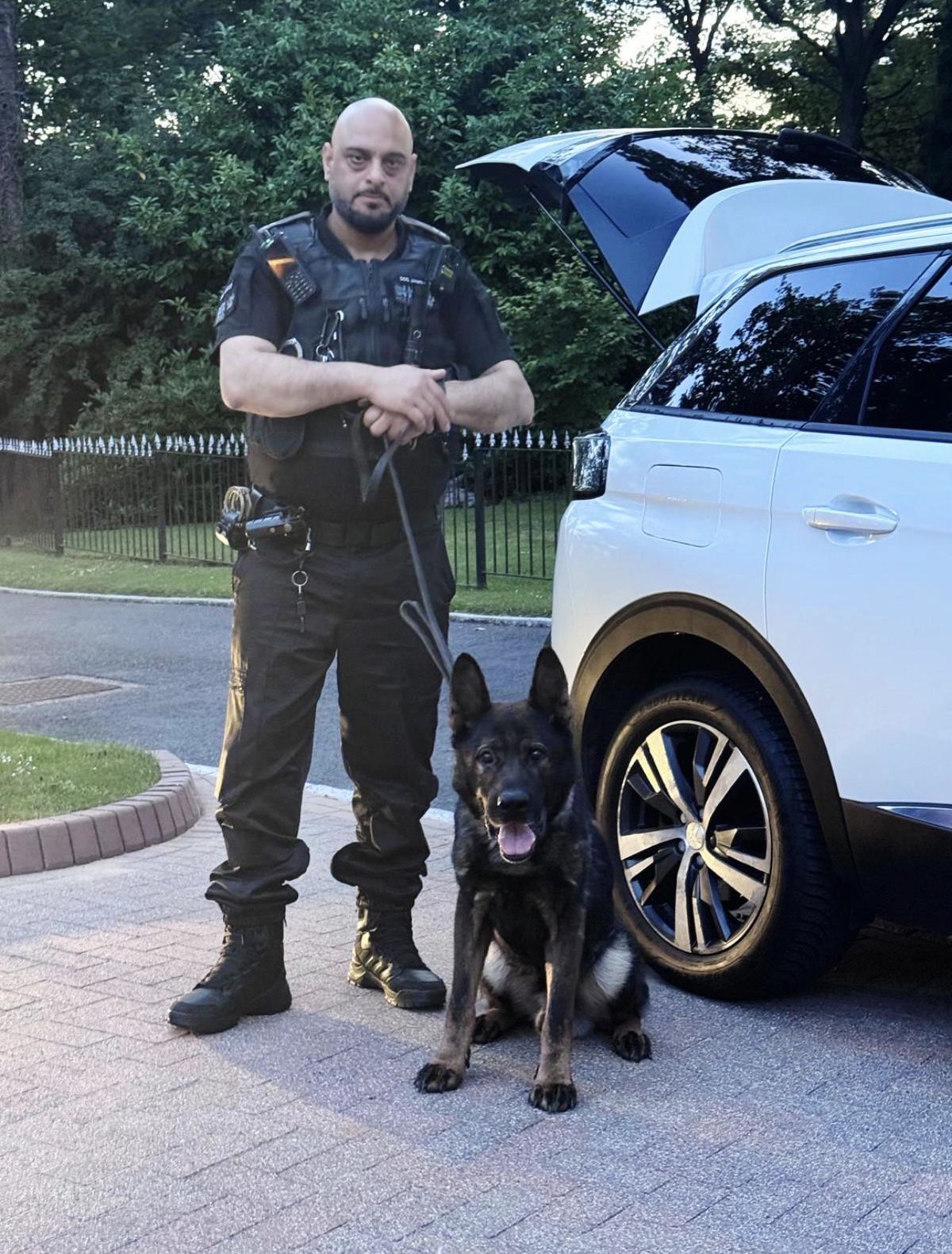 A Seccuro dog handler in black uniform with a German Shepherd beside a patrol vehicle.